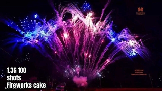 Liuyang 100발 전문 디스플레이 불꽃놀이 케이크 1.3G UN0335 불꽃놀이