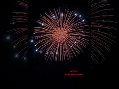 중국 프로 디스플레이 껍질 불꽃놀이 피로테크닉 6 인치 디스플레이 껍질 공