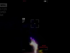 만다린 불꽃놀이 피로테크닉 류양 전문 케이크 불꽃놀이 중국어