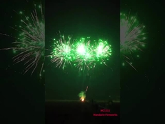 불꽃놀이 2024 온라인 직접 중국 수입 공장 도매 소비자 케이크 불꽃놀이