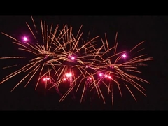 야외 20 샷 축하 케이크 피로테크닉 팬 모양 맞춤형 1.4g