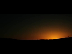 류양 만다린 소화품