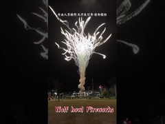 중국 소매 피로테크닉 늑대 울음 케이크 불꽃놀이 Feuerwerk 피로테크니아 Fuochi D'artificio
