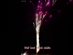 중국 화려 불꽃놀이 늑대 울음과 분홍색 달리아 야외 도매 케이크 표준 불꽃놀이 케이크