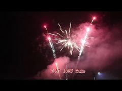 Liuyang Fireworks Customized 0.8 Inch 150 Shots Pyrotechnics 1.4G Consumer Cake Fireworks