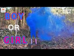 중국 공장 주간 웨딩 휴대용 컬러 연기 플레어 불꽃놀이 파티 성별 공개 연기 폭탄