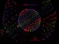 Liuyang 공장 전문 불꽃놀이 1.3G Un0335 화공품 2