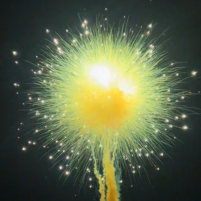 1.4g UN0336 Daytime Fireworks for Weddings Outdoor Events Chinese Factory Wholesale Colorful Smoke Fireworks Daytime Fireworks Wedding Festival Smoke Flare Cake Fireworks Pyrotechnics