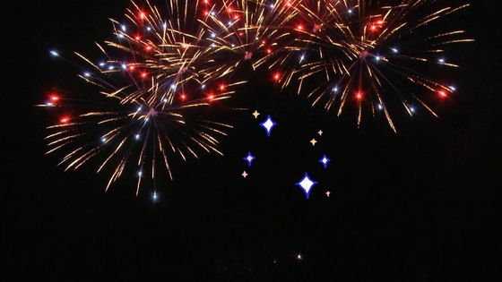 중국 25는 축하 맞춘 야외 불꽃놀이를 위한 팬 케이크 불꽃놀이를 쇼팅시킵니다