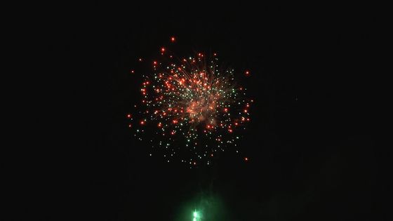 크리스마스 축제 야외 전문적 케이크 불꽃놀이 주문형 49개 샷