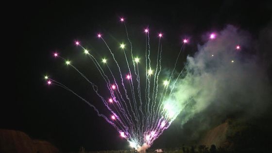 관리 100은 크리스마스 축제 케이크 불꽃놀이 야외 전문가를 쇼팅시킵니다