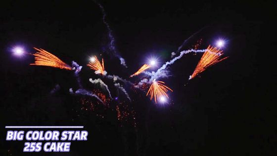 25 샷 소비자 케이크 불꽃놀이는 형태 불꽃 1.4g Un0336을 일으킵니다