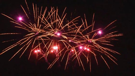형성하여진 야외 20 샷 축하 케이크 불꽃 팬은 1.4g를 특화했습니다