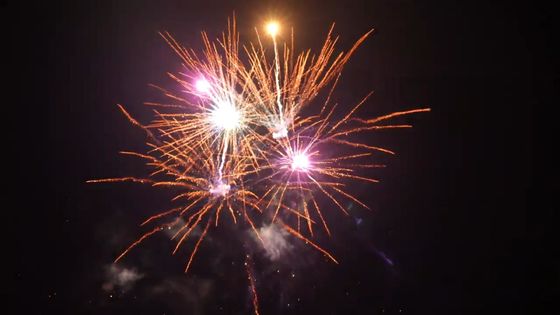 축하를 위한 화려한 21 샷 좋은 효과 야외 케이크 불꽃놀이