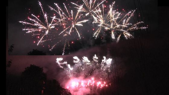 리오양 56은 축제 축하를 위해 전문적 불꽃놀이 1.3g Un0335를 쇼팅시킵니다
