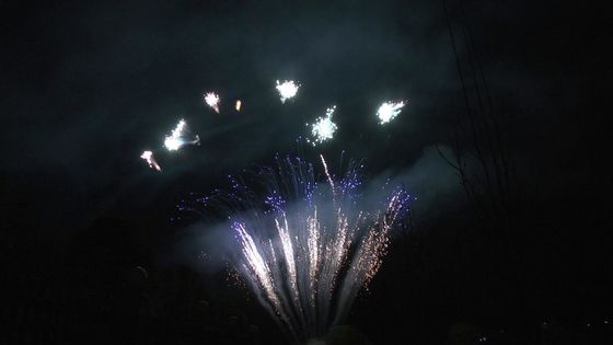 관리 디스플레이 90 샷은 파티를 위한 불꽃 전문적 케이크 불꽃놀이에게 인사합니다