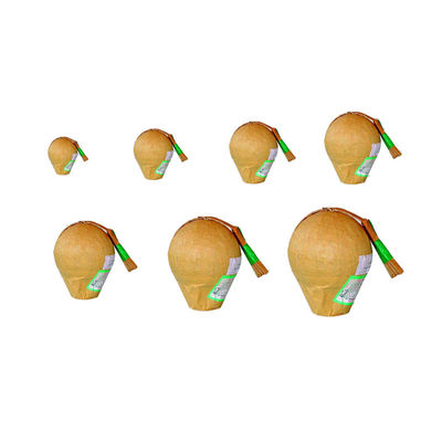 리오양 관리 전문적 6 인치 볼 디스플레이는 새해 축하를 위해 불꽃놀이의 껍데기를 벗깁니다