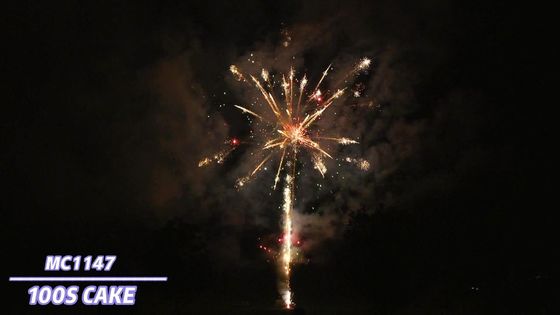 리오양 특수 효과 전문적 케이크 불꽃놀이 불꽃 100 샷