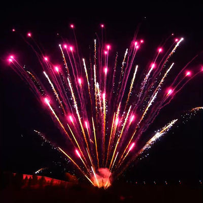 관리 불꽃놀이 불꽃 전문적 디스플레이 불꽃놀이는 1.3g 리오양 공장 불꽃놀이를 굳힙니다