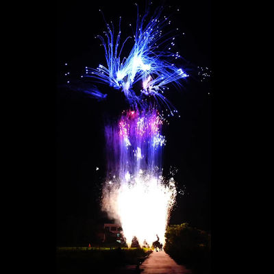 Chinese Factory Customized 100 Shots Pyrotechnic Consumer Cake Fireworks For New Year Celebration Fireworks