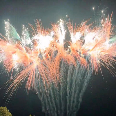 중국 케이크 불꽃놀이 유형 축제 축하 피로테크닉 야외 불꽃놀이 2024