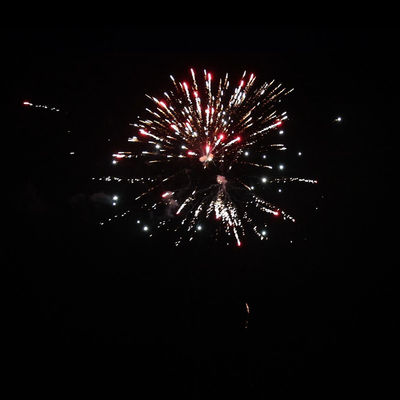 48 샷 케이크 불꽃놀이 종류 축제 축하 피로테크닉 야외 불꽃놀이