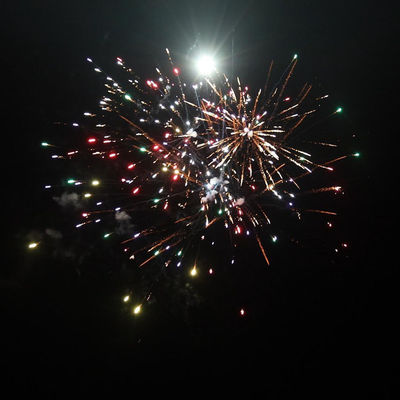 중국 피로테크닉 49 샷 소매 좋은 가격 소비자 야외 케이크 불꽃놀이