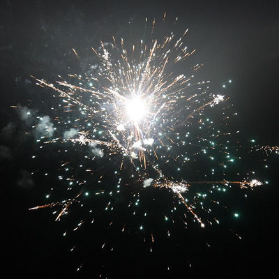 56 샷 소비자 케이크 불꽃놀이 2024 1.4g UN0336 파티용