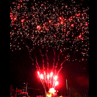 Liuyang 불꽃놀이 용품 만다린 신규 인기 불꽃놀이 56발 살루트 야외 케이크 배터리 붉은 매화 불꽃놀이 화약