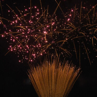 1.2인치 100발 케이크 불꽃놀이 1.3G 전문 UN0335 인증 옥외 행사용 화약